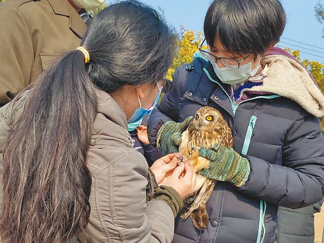 來自台灣的獸醫陳亭（右）是目前金門野生動物救傷站中唯一的獸醫，她希望能持續守護在金門野外落難的珍貴生命。（于家麒攝）