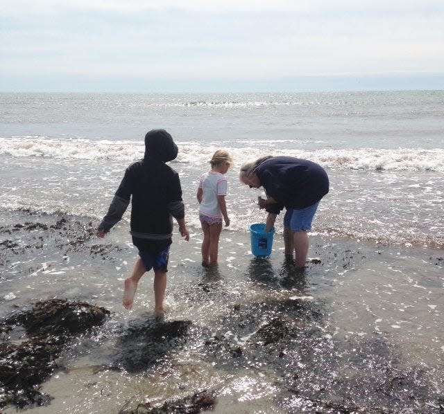 Most people think of tide pooling as a summer activity, but Hampton marine biologist Ellen Goethel said she finds the most amazing things in the fall.