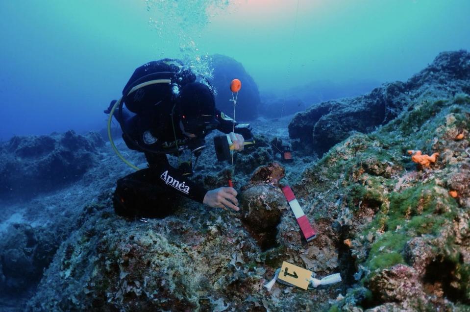 Researchers found 10 shipwrecks off the coast of Greece during a 4-year survey. / Credit: Greek Ministry of Culture