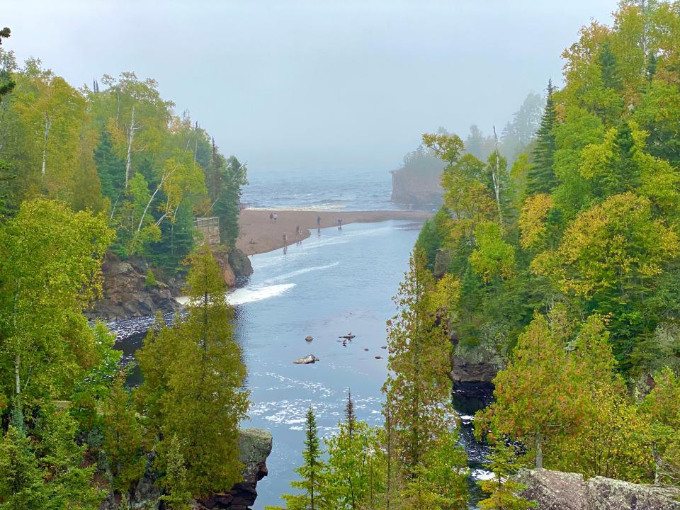 Green trees surround a beach on a foggy day.