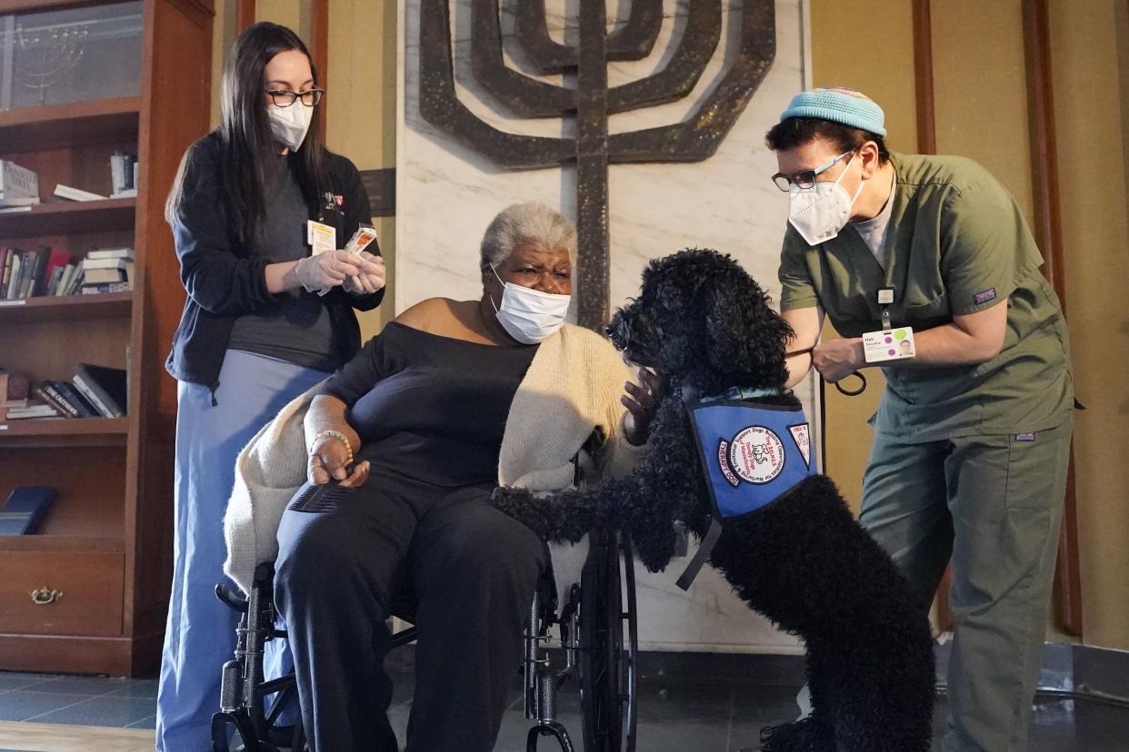 Patricia Marson is comforted by therapy dog Cleo as she becomes the first patient at Hebrew Rehabilitation Center to receive a COVID-19 vaccine on Wednesday, Dec. 30, 2020, in Boston, Mass. At far left is nurse Lisa Lopes and at far right is chaplain Hali Diecidue.