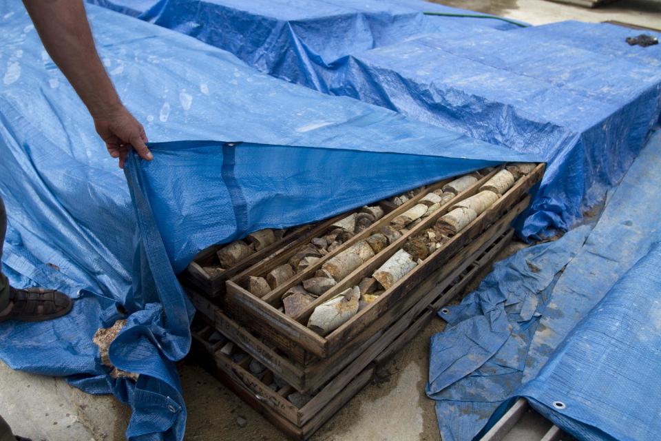 In this April 9, 2012 photo, geologist John Watkins shows rock samples extracted from the SOMINE mine exploration camp in the department of Trou Du Nord, Haiti. Haiti's land may yet hold the solution to centuries of poverty: there is gold hidden in its hills, and silver and copper too. Now, two mining companies are drilling around the clock to determine how to get those metals out, and how much it might cost. (AP Photo/Dieu Nalio Chery)