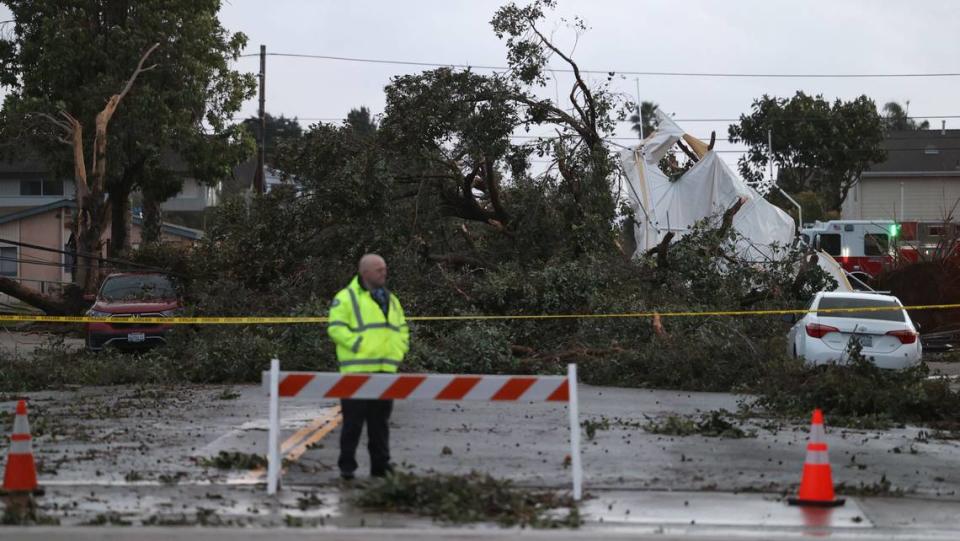 Toppled trees block 9th Street between West Grand and Rockaway in Grover Beach after a possible tornado hit the city on Feb. 7, 2024.