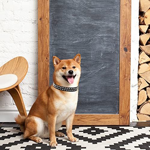 15 Cute Dog Collars That'll Have Your Pup Looking ~So Fetch~