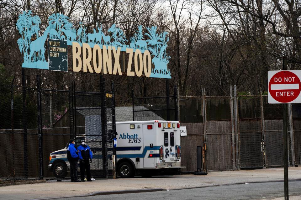 An ambulance goes inside the Bronx Zoo as the outbreak of the coronavirus disease (COVID-19) continues in the Bronx borough of New York City, New York, U.S., April 5, 2020. REUTERS/Eduardo Munoz