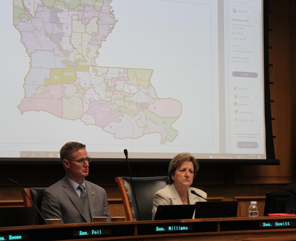 Sen. Sharon Hewitt, R-Slidell (right), and Sen. Barry Milligan, R-Shreveport, lead the Senate committee that created the redistricting plans.