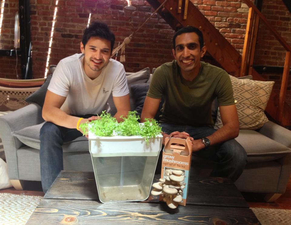 This undated publicity photo provided by Back to the Roots shows the founders Alejandro Velez, left, and Nikhil Arora with the company's Mushroom Kit and AquaFarm. (AP Photo/Back to the Roots)