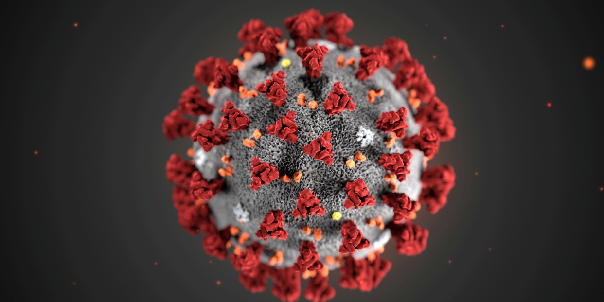 The ultrastructural morphology exhibited by the 2019 Novel Coronavirus (2019-nCoV), which was identified as the cause of an outbreak of respiratory illness first detected in Wuhan, China, is seen in an illustration released by the Centers for Disease Control and Prevention (CDC) in Atlanta, January 29, 2020. Alissa Eckert, MS; Dan Higgins, MAM/CDC/Handout via REUTERS