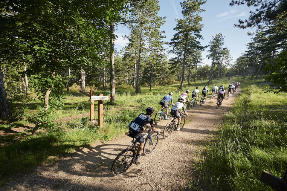 Riders on dirt road in a forest in France