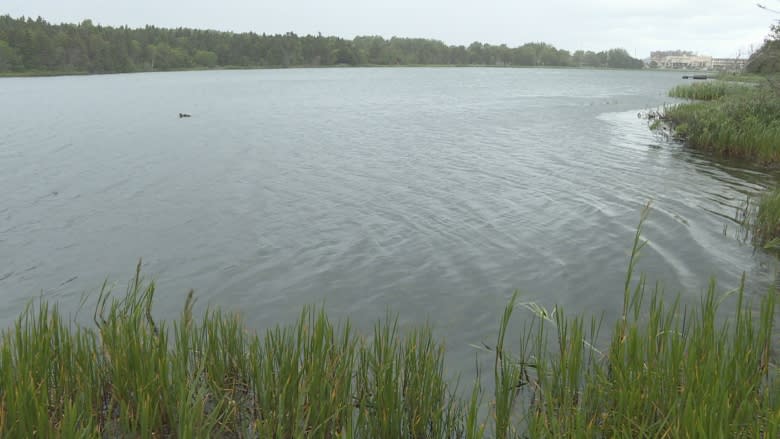 5 drowning deaths in N.L. in past week