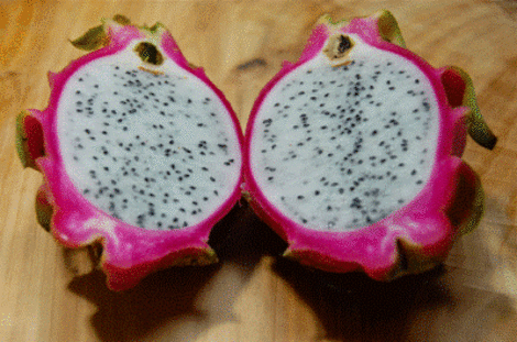 <b>1. Pitahaya or Dragonfruit</b> <div>This fruit is from cacti of the genus Hylocereus. It's native to Mexico, Central America, and South America. It has, of course, spread to other parts of the world.</div>