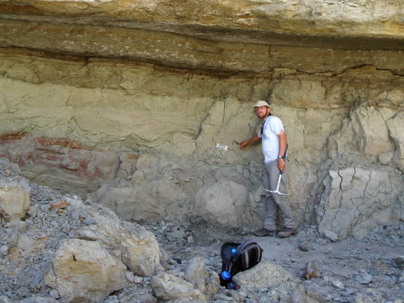 The vertebrae and ribs of Dahalokely tokana were discovered in terrestrial sediments from the Ambolafotsy Formation in northern Madagascar.