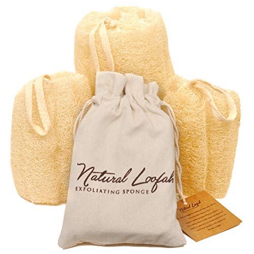 6) Egyptian Natural Loofah Sponge