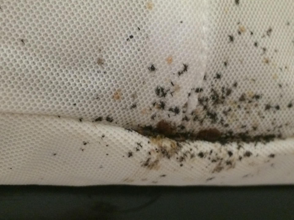 Close-up of a mattress seam showing signs of a potential bed bug infestation, including dark spots and debris