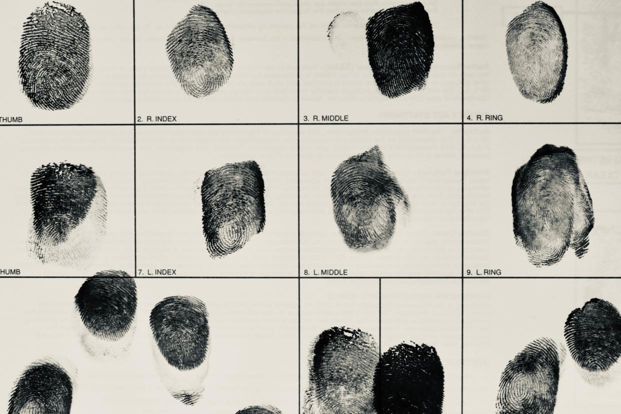 Examples of fingerprints.