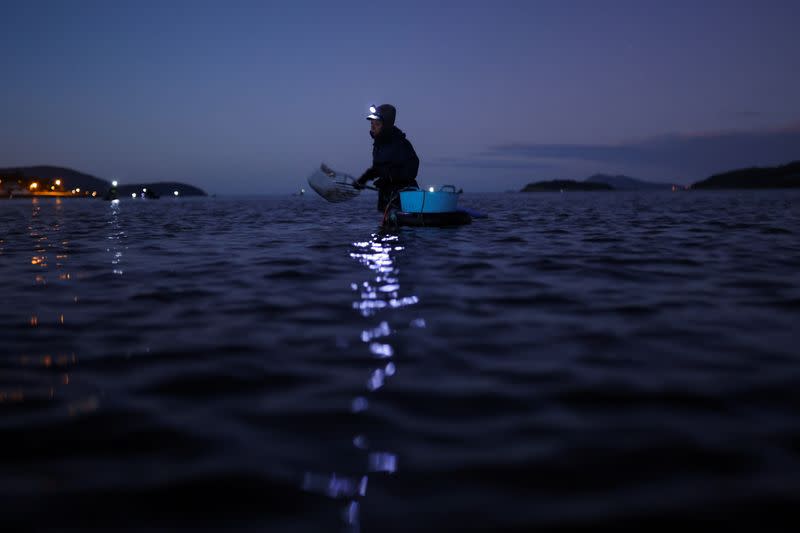 Galicia's traditional shell-fisherwomen pass the torch to a new generation