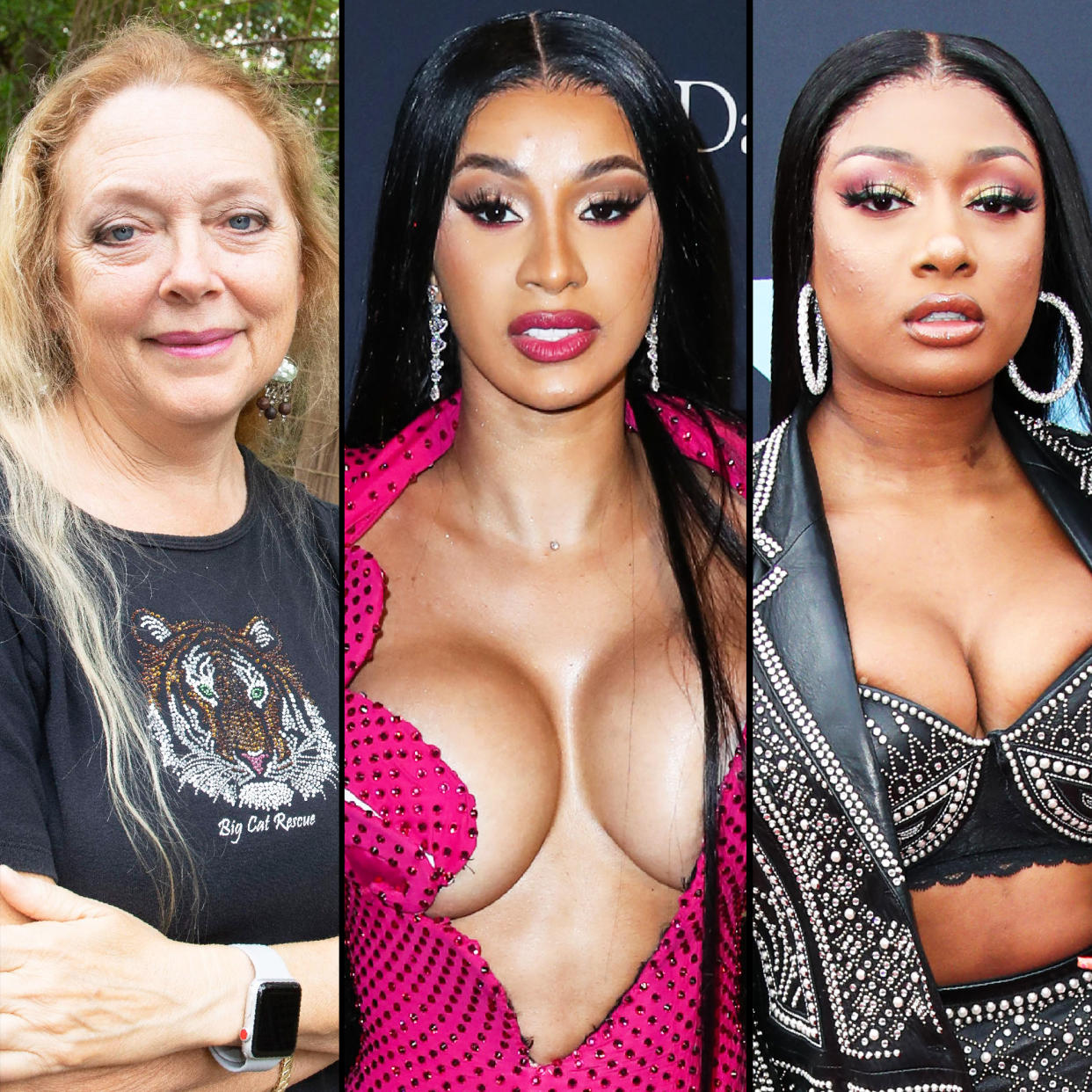 Carole Baskin Slams Cardi B Megan Thee Stallion For Big Cats In WAP Video