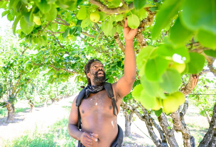 Farm Manager Brent Walker picks an apple.