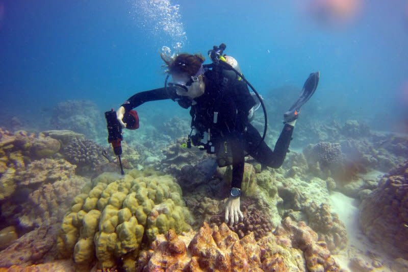 全球暖化對海洋裡的珊瑚礁帶來相當嚴重的影響（AP）