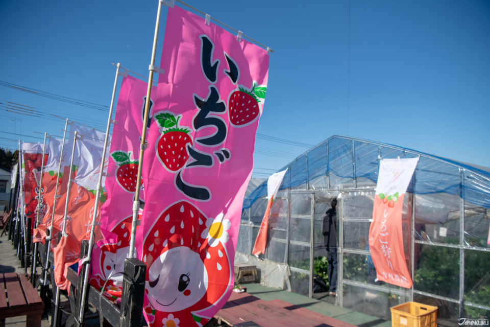 栃木縣吉村農園