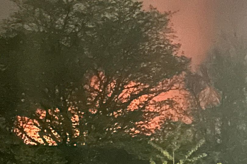Dark smoke rises from a large fire behind some trees at night in Swanley