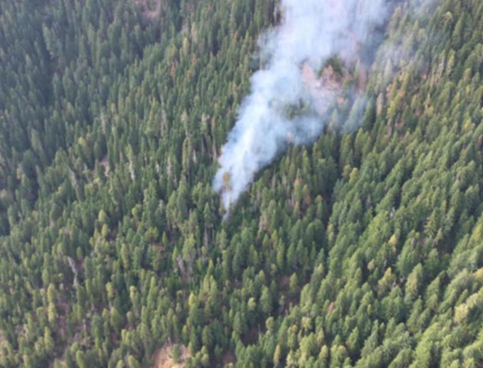 The Cedar Creek Fire when it was a small fire in Willamette National Forest around Aug. 1.