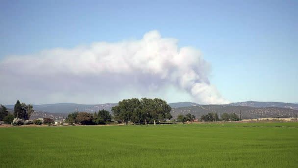 PHOTO: Smoke billows as Rices Fire burns in Nevada County, Calif. (KXTV)