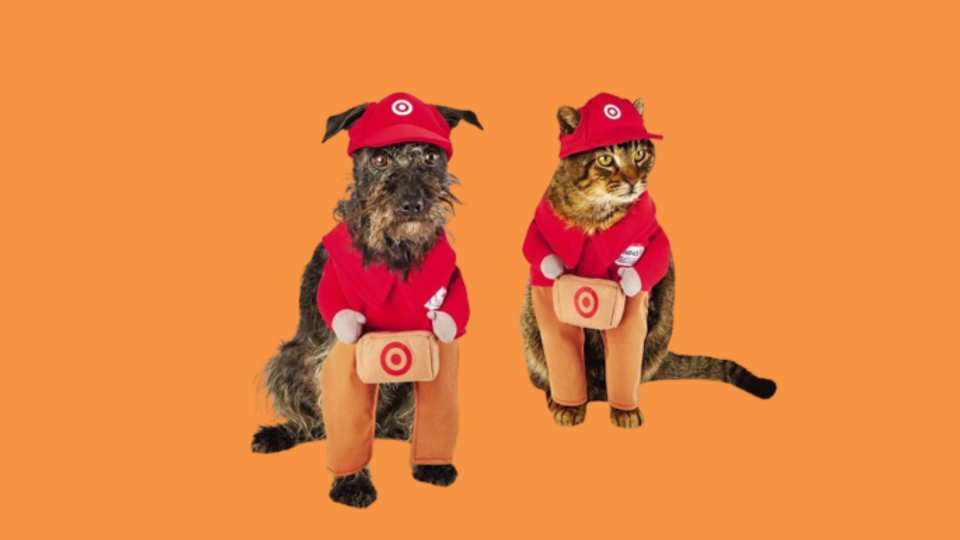 Popular Dog Costumes: Hyde & Eek! Boutique Target Delivery Dog and Cat Costume