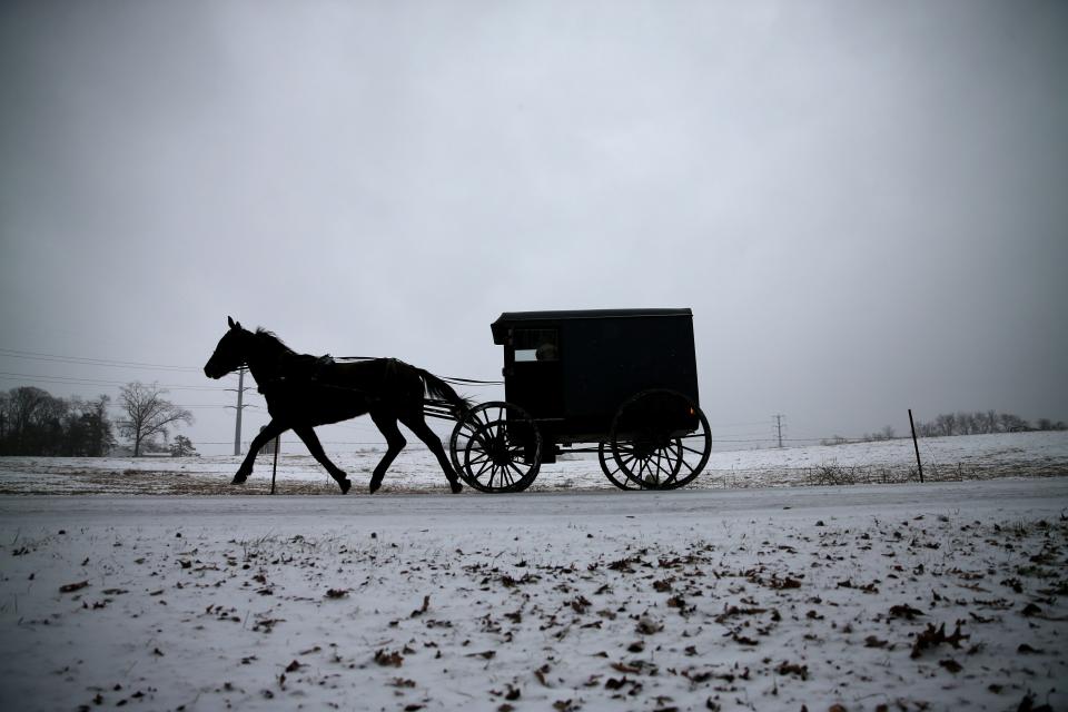 An Amish buggy.