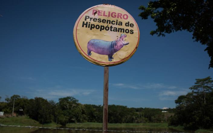 A warning sign for hippopotamuses near Hacienda Naples in Doradal, Colombia, - Anadolu&#xa0;