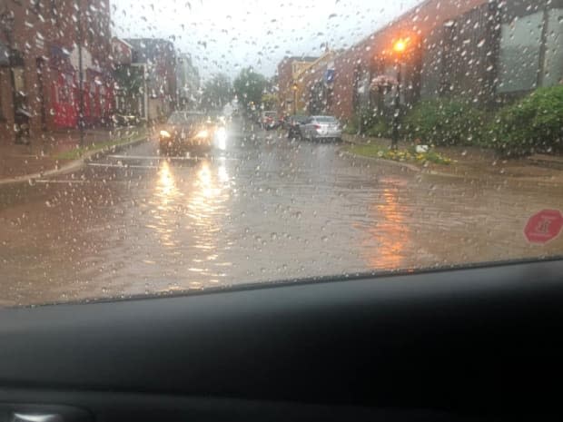 Elsa brought some heavy rain to P.E.I. July 9. (Lorna Matheson/Facebook - image credit)