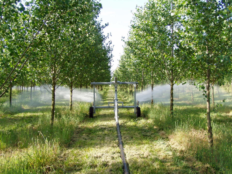 The Metropolitan Wastewater Management Commission uses large hose reels to water the poplar trees on the Biocycle Farm.