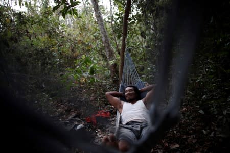 The Wider Image: Fighting fire with fire, Amazon 'forest guardians' stalk loggers