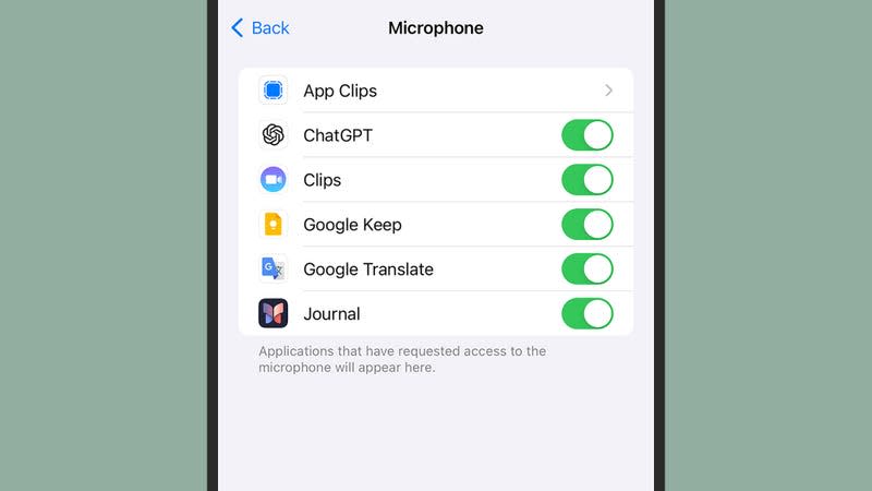 Mic permissions on iOS. - Screenshot: iOS