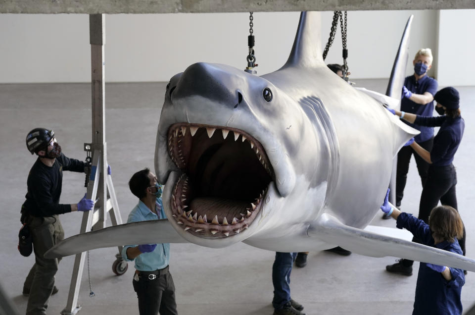 A fiberglass replica of Bruce, the shark featured in Steven Spielberg's classic 1975 film 