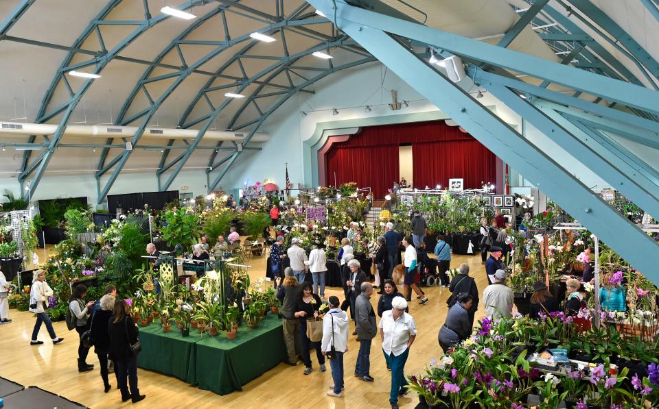 The Sarasota Orchid Society's annual orchid show is this weekend.
