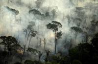 Pictures of the Year: Fires in the Amazon: a barrier to climate change up in smoke