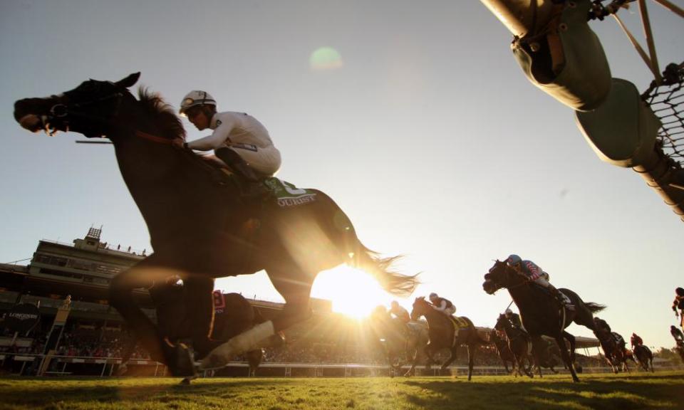 <span>Photograph: Horsephotos/Getty Images</span>