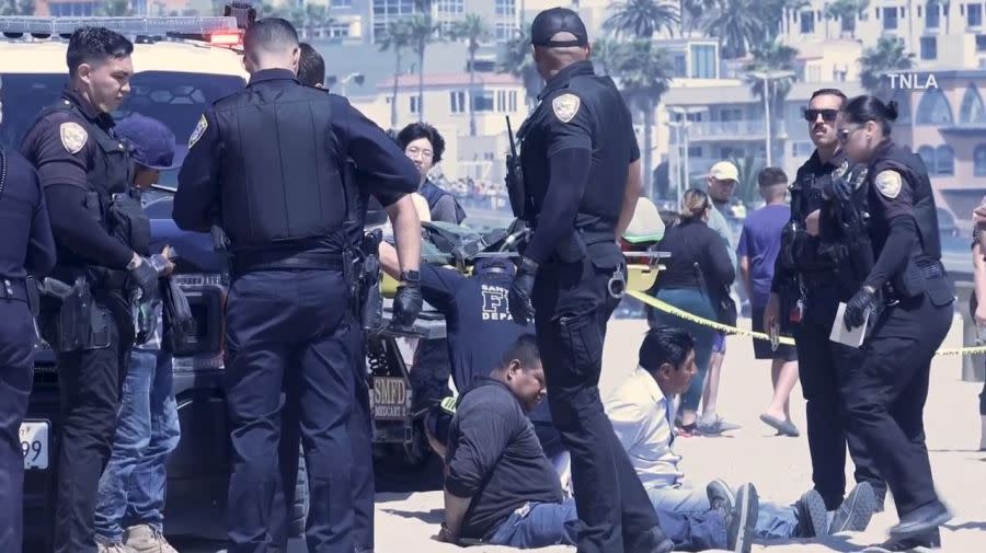 Five people were arrested after a large brawl left one person stabbed and another injured on the beach near the Santa Monica Pier on June 29, 2024. (TNLA)