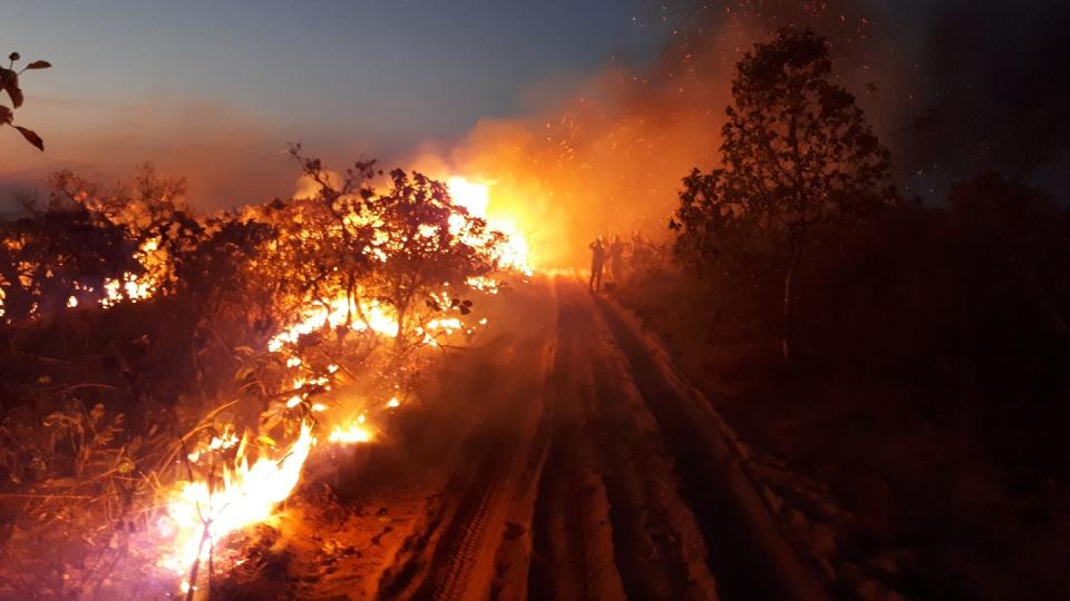 Waldbrand im Naturpark Chapada dos Guimaraes in Brasilien. Seit Wochen wüten Tausende Feuer im Amazonasgebiet und den angrenzenden Steppengebieten. Foto: Christian Niel Berlinck/ICMBio