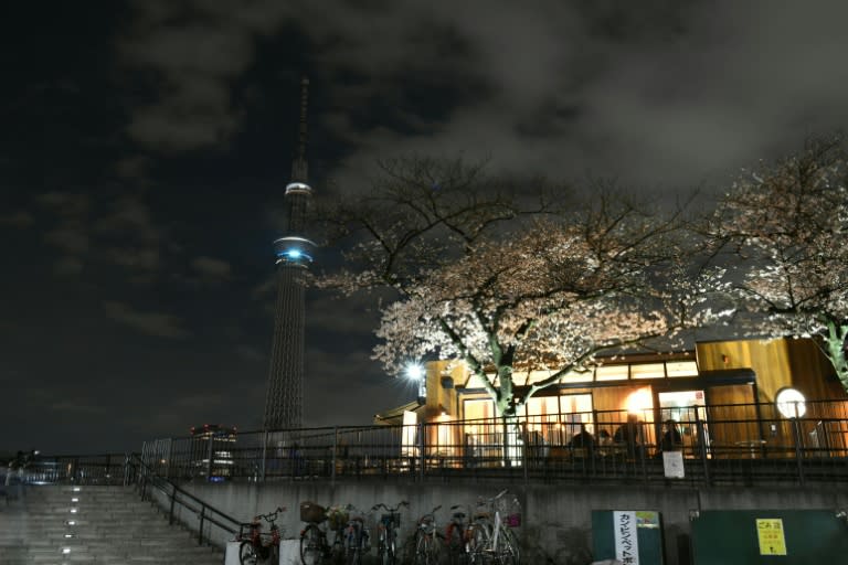 Tokyo's landmark Skytree goes dark during the Earth Hour environmental campaign