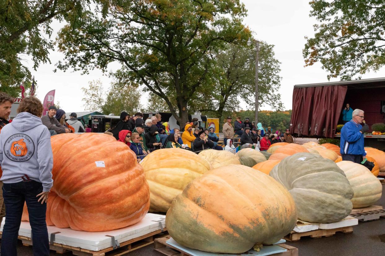 Nekoosa Giant Pumpkin Fest turns 25 this year. What you should know