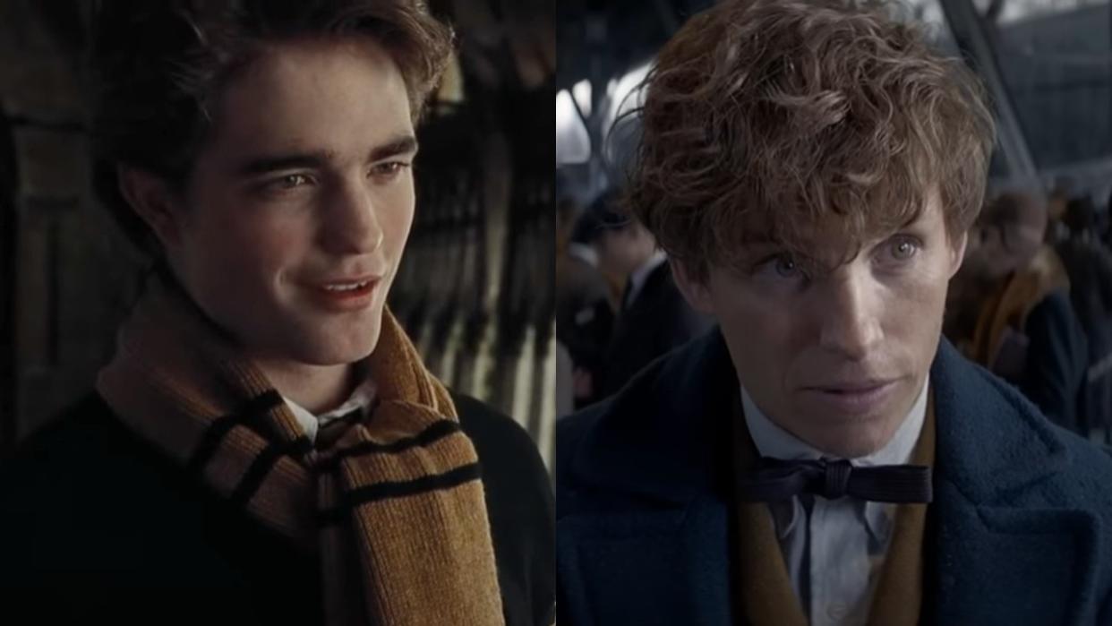  From left to right: Cendric Digory in Harry Potter and Newt Scamander in Fantastic Beasts. 