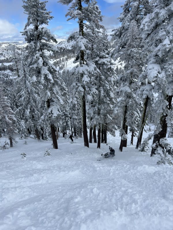 Following professional skier Jay Rawe through a powdery glade at Sugar Bowl Resort, CA. January, 2024<p>Matt Lorelli/Powder Magazine</p>