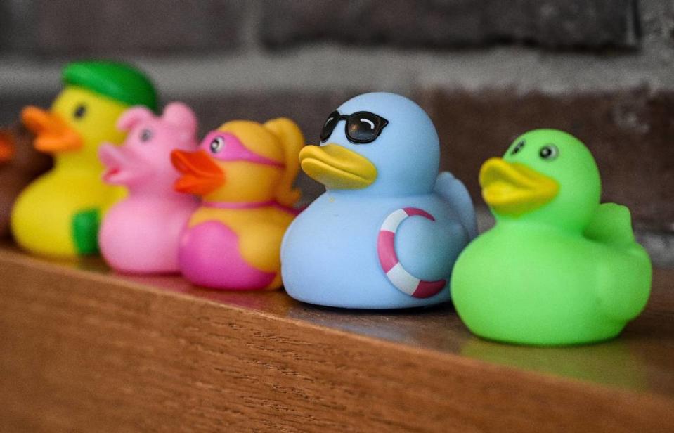 Well-wishers have been dropping off rubber duckies at Mad Duck’s newest location at Copper and Maple in north Fresno, where workers have been lining up the ducks on shelves before the restaurant and brewery’s anticipated opening. CRAIG KOHLRUSS/ckohlruss@fresnobee.com