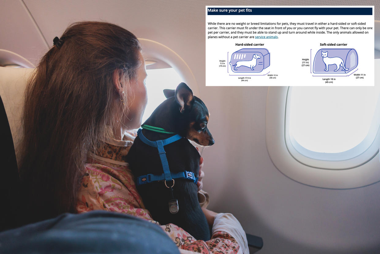 Travellers are barking at airlines for subjectively rejecting their pets from boarding flights.