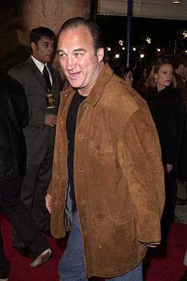 James Belushi at the Mann Village Theater premiere of MGM's Hannibal