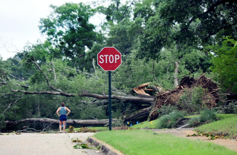 Storm damage in the South Highland neighborhood on Friday June 16, 2023. 