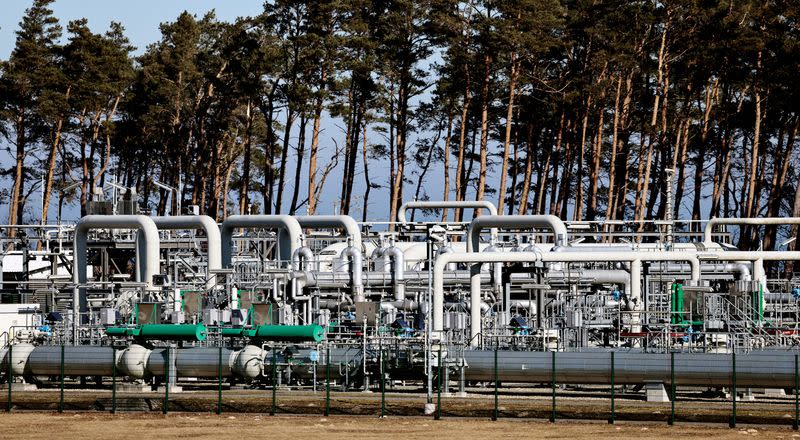 FILE PHOTO: Pipes at the landfall facilities of the Nord Stream 1 gas pipline in Lubmin