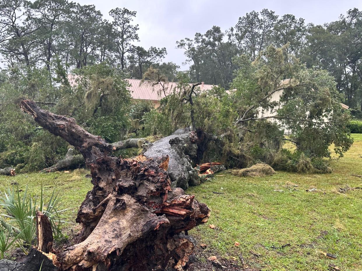 A fallen tree just misses The Summit Baptist Church building in High Springs.